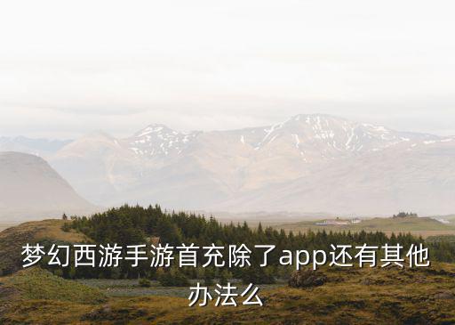 梦幻西游手游首充除了app还有其他办法么