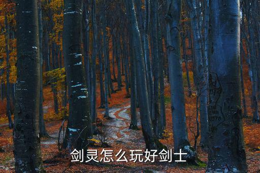 剑灵怎么玩好剑士