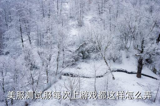 美服测试服每次上游戏都这样怎么弄