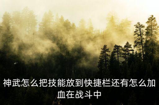 神武怎么把技能放到快捷栏还有怎么加血在战斗中