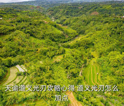天谕道义光刃攻略心得 道义光刃怎么加点