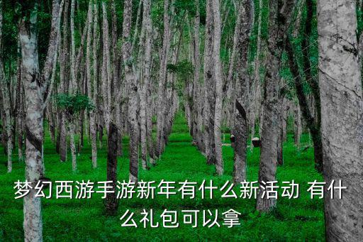 梦幻西游手游新年有什么新活动 有什么礼包可以拿
