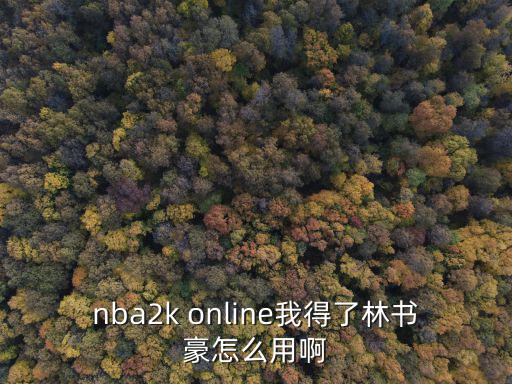 nba2k online我得了林书豪怎么用啊