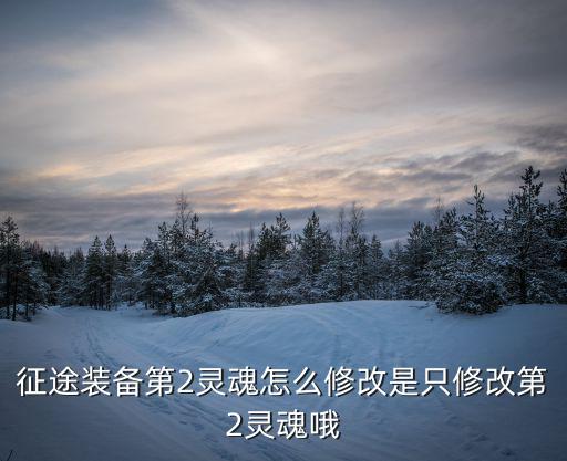征途装备第2灵魂怎么修改是只修改第2灵魂哦