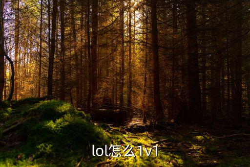 lol怎么1v1