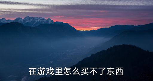 在游戏里怎么买不了东西