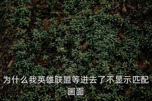 为什么我英雄联盟等进去了不显示匹配画面