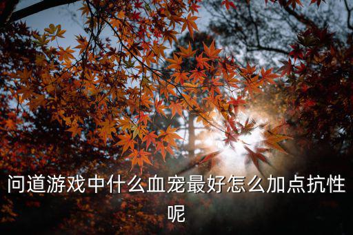 问道游戏中什么血宠最好怎么加点抗性呢