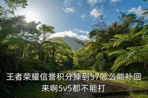 手游信誉怎么恢复5级的，王者荣耀信誉积分掉到57怎么能补回来啊5v5都不能打