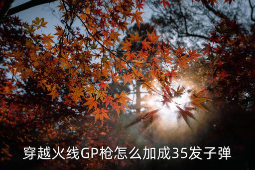 穿越火线GP枪怎么加成35发子弹