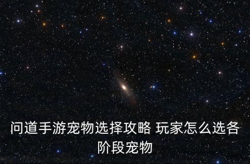 问道手游三维版宠物怎么选择，问道手游宠物该如何选择