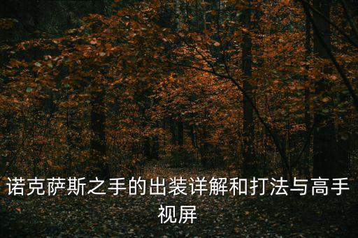 端游诺手怎么配装视频，诺克萨斯之手的出装详解和打法与高手视屏