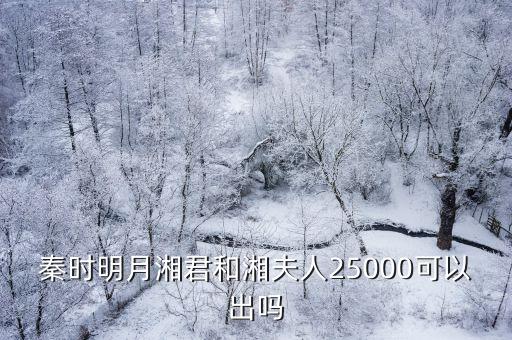 秦时明月湘君和湘夫人25000可以出吗