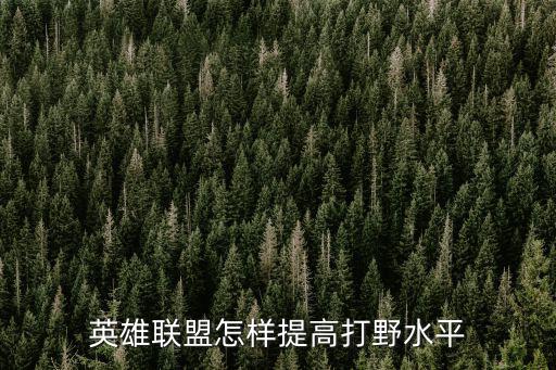 英雄联盟怎样提高打野水平