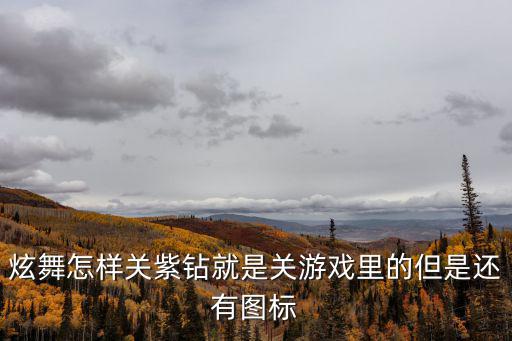 炫舞怎样关紫钻就是关游戏里的但是还有图标