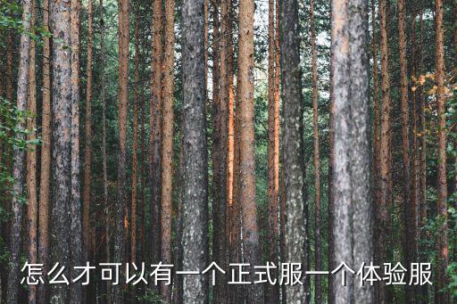 怎么才可以有一个正式服一个体验服