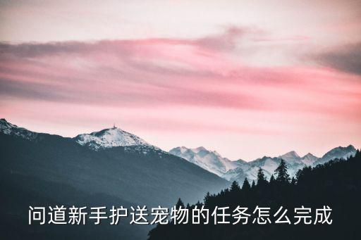 问道新手护送宠物的任务怎么完成