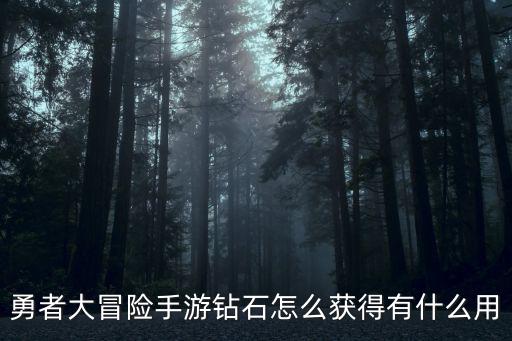 勇者大冒险手游钻石怎么获得有什么用