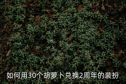 哈利波特手游萝卜怎么换衣服，哈利波特1游戏