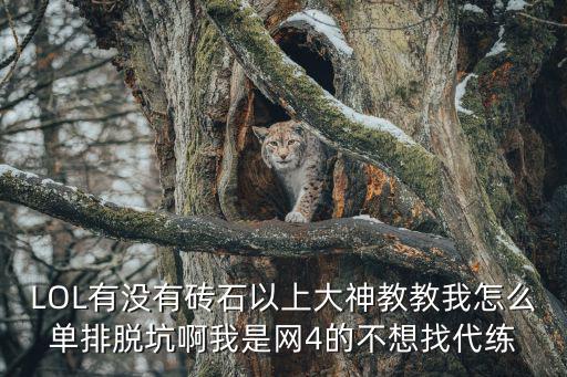 LOL有没有砖石以上大神教教我怎么单排脱坑啊我是网4的不想找代练