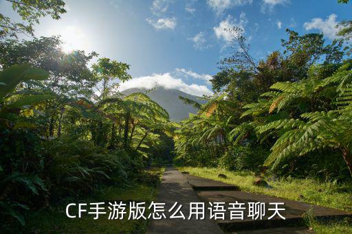 cf手游爷爷语音卡大厅怎么用，CF手游上怎么用语音聊天