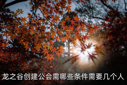 龙之谷手游2怎么开公会模式，龙之谷创建公会需哪些条件需要几个人