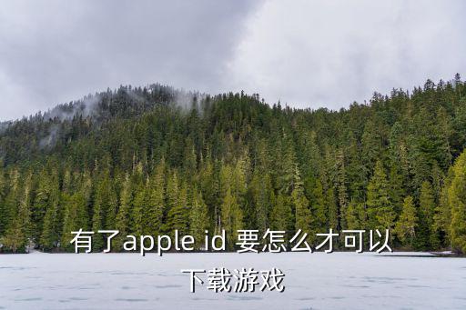 有了apple id 要怎么才可以下载游戏