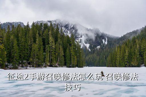 征途2手游宠物怎么玩视频，征途2的宠物怎么样