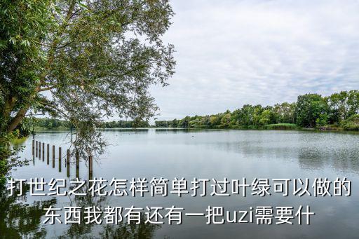 打世纪之花怎样简单打过叶绿可以做的东西我都有还有一把uzi需要什