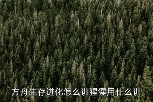 方舟生存进化怎么训猩猩用什么训