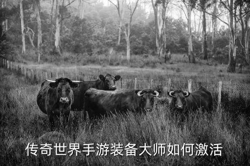 传奇世界手游怎么激活幻化，传奇世界灵兽幻化和顿悟