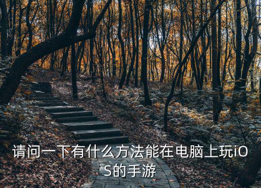 请问一下有什么方法能在电脑上玩iOS的手游