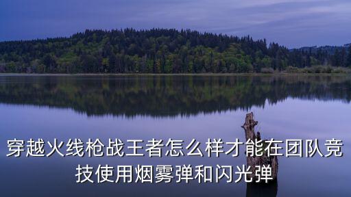 穿越火线枪战王者怎么样才能在团队竞技使用烟雾弹和闪光弹