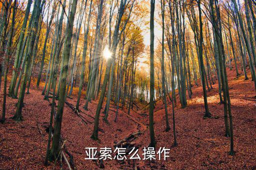 亚索怎么操作