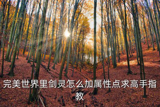 完美世界里剑灵怎么加属性点求高手指教