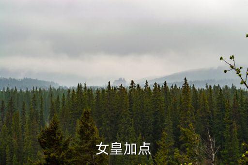 女皇加点