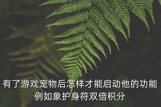 有了游戏宠物后怎样才能启动他的功能例如象护身符双倍积分