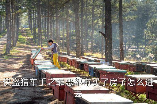 侠盗猎车手之罪恶都市买了房子怎么进去