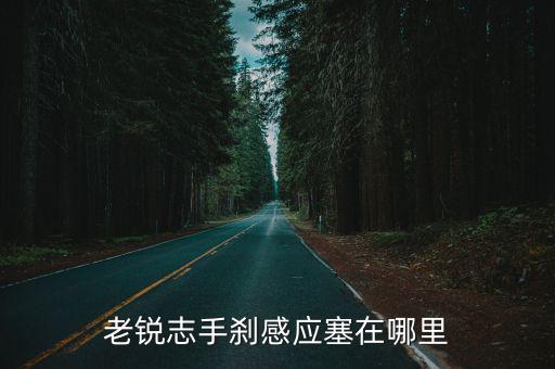 老锐志手刹感应塞在哪里