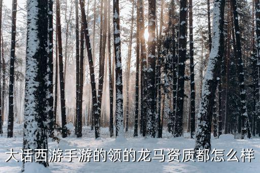 大话西游手游的领的龙马资质都怎么样