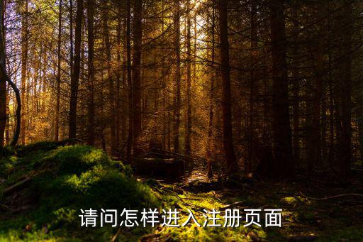 lol手游登陆界面怎么注册，请问怎样进入注册页面