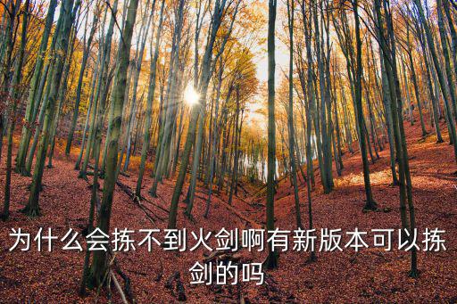 为什么会拣不到火剑啊有新版本可以拣剑的吗