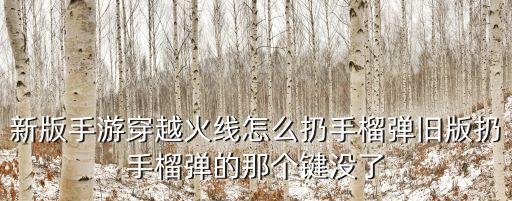 新版手游穿越火线怎么扔手榴弹旧版扔手榴弹的那个键没了
