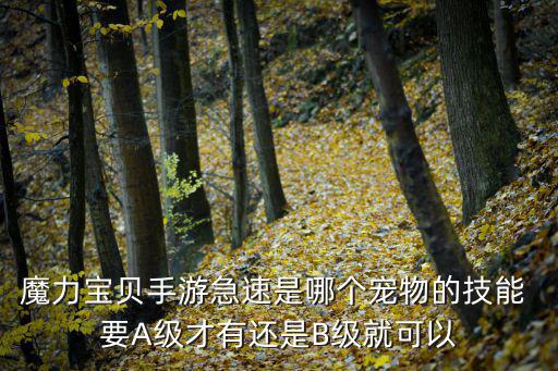魔力宝贝手游急速是哪个宠物的技能 要A级才有还是B级就可以
