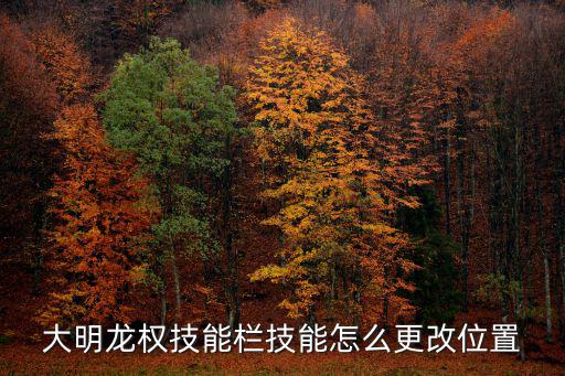 大明龙权技能栏技能怎么更改位置