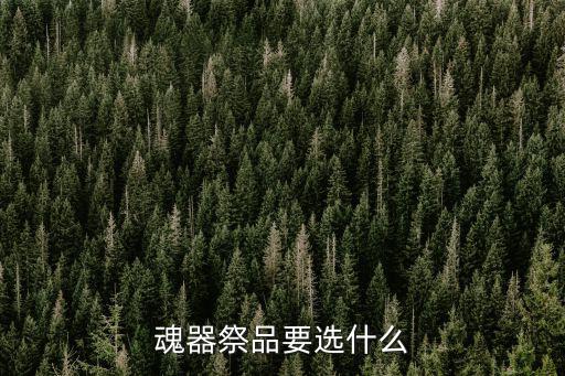 天谕手游怎么选魂器，魂器祭品要选什么