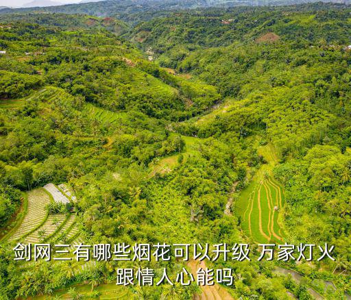 剑网三有哪些烟花可以升级 万家灯火跟情人心能吗