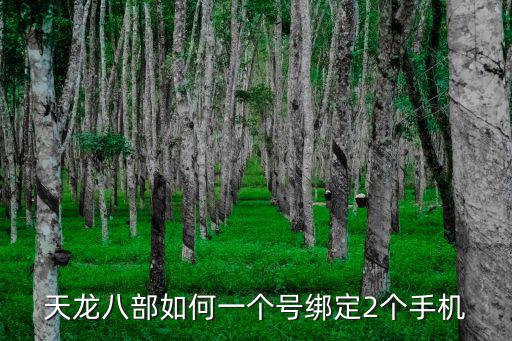 天龙八部如何一个号绑定2个手机
