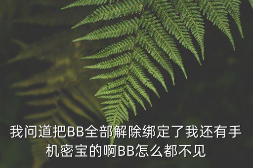 我问道把BB全部解除绑定了我还有手机密宝的啊BB怎么都不见