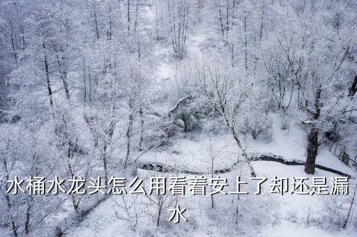 水桶水龙头怎么用看着安上了却还是漏水